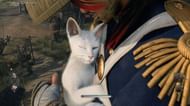 Pet cats to get more Silver coins (Image via Team Ninja)
